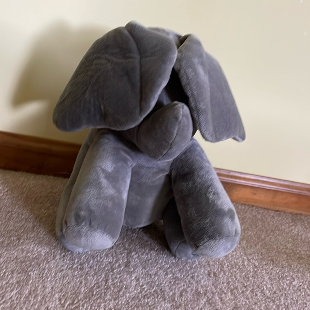 Peek - a Boo Elephant